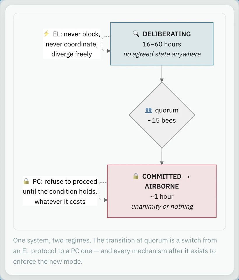 State diagram of a swarm reaching quorum